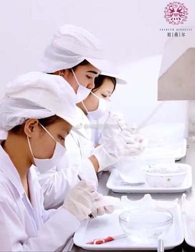 極致自然·官燕兒 武漢市場技術推廣營銷策劃案