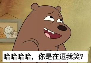 神木驚現(xiàn)“神兔網(wǎng)絡(luò)”？警方追查盜竊團伙